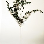 Thyme